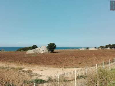 Freak Beach, la spiaggia alternativa